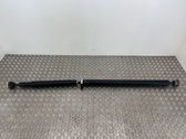 Drive shaft (set)