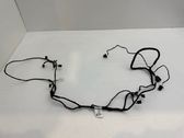 Other wiring loom