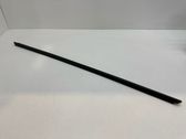 Front door trim (molding)