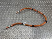 Other wiring loom