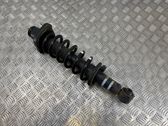 Amortiguador trasero con muelle espiral