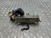 EGR valve cooler