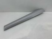 Other rear door trim element