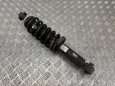 Rear shock absorber with coil spring