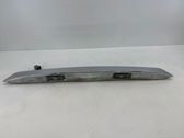 Trunk door license plate light bar