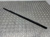 Rear door glass trim molding