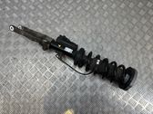 Front shock absorber with coil spring