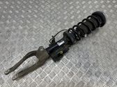 Front shock absorber with coil spring