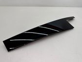 Rear door glass trim molding