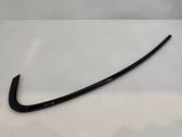 Rear door glass trim molding
