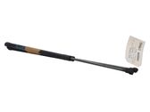 Tailgate/trunk strut/damper