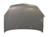 Engine bonnet/hood
