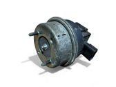 Cruise control unit/module