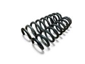 Rear coil spring