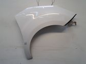Fender