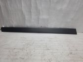 Front door trim (molding)