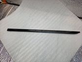 Rear door trim (molding)
