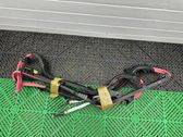 Other wiring loom