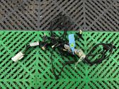 Parking sensor (PDC) wiring loom