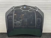 Engine bonnet/hood