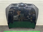 Engine bonnet/hood