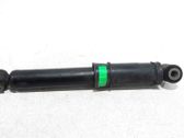 Rear shock absorber/damper