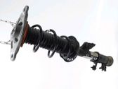 Rear shock absorber/damper