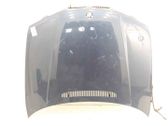 Engine bonnet/hood