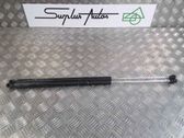 Tailgate/trunk strut/damper
