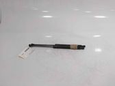 Tailgate/trunk strut/damper