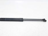 Tailgate/trunk strut/damper