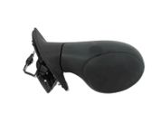 Front door electric wing mirror