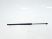 Tailgate/trunk strut/damper