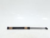 Tailgate/trunk strut/damper