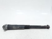 Stoßdämpfer hinten
