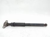 Stoßdämpfer hinten