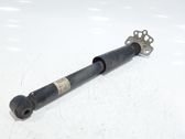 Rear shock absorber/damper