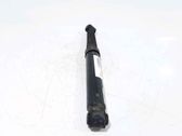 Rear shock absorber/damper