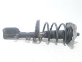 Front shock absorber/damper