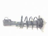Front shock absorber/damper