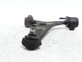 Front lower control arm/wishbone
