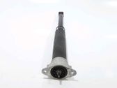 Rear shock absorber/damper