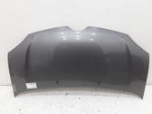 Engine bonnet/hood