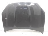 Motorhaube