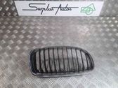 Front bumper lower grill