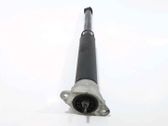 Rear shock absorber/damper