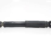 Rear shock absorber/damper