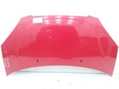 Motorhaube
