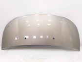 Engine bonnet/hood