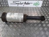 Rear shock absorber/damper